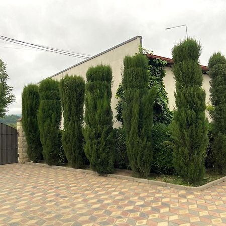 Hotel Doko Мартвілі Екстер'єр фото