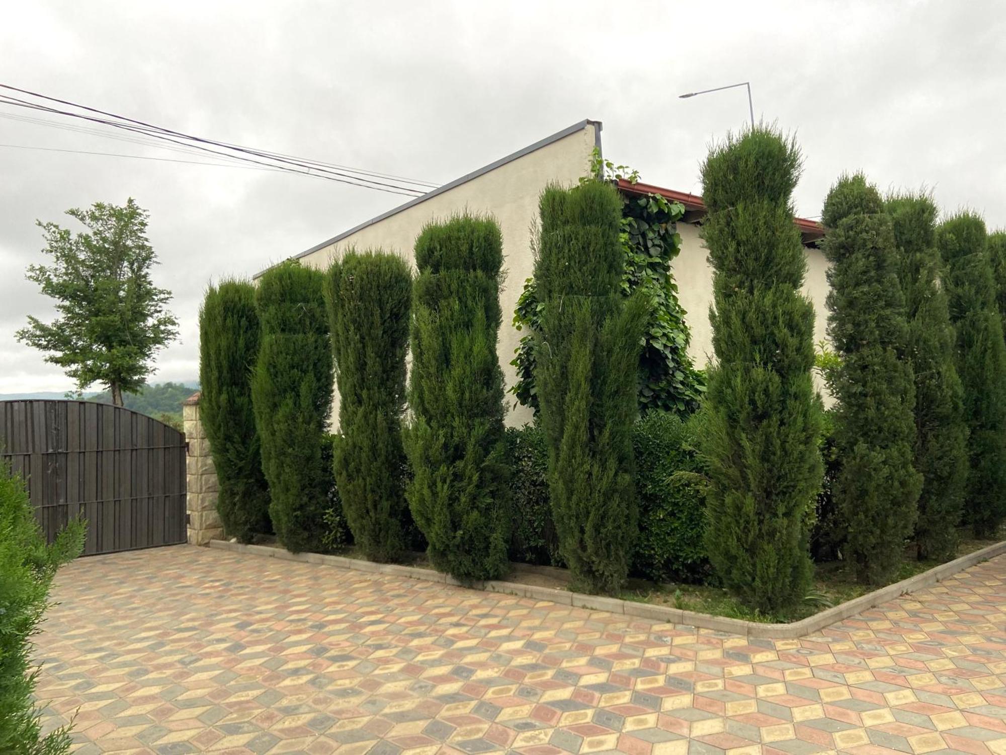 Hotel Doko Мартвілі Екстер'єр фото